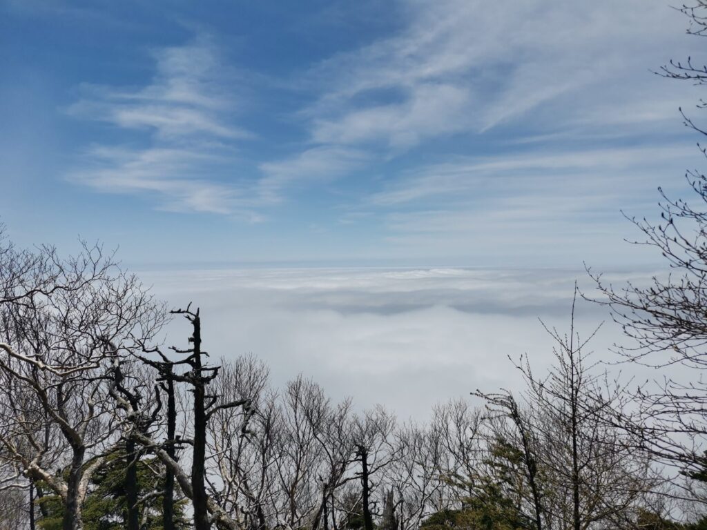 雲海