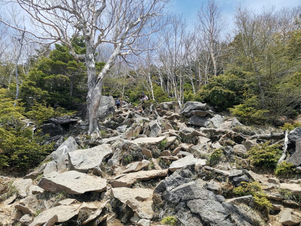 登山道 岩