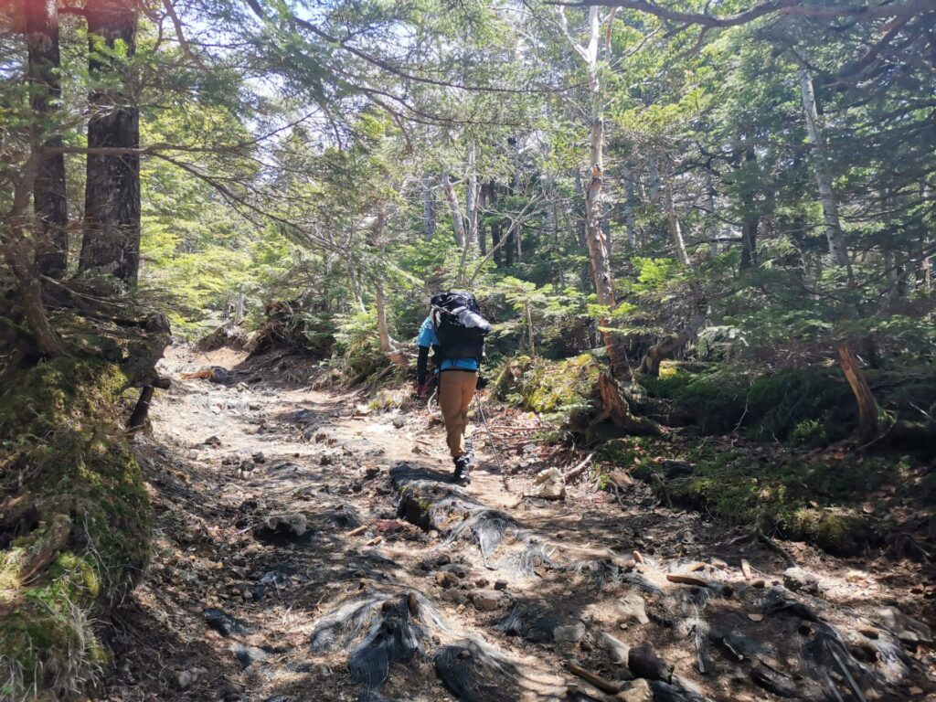 登山道