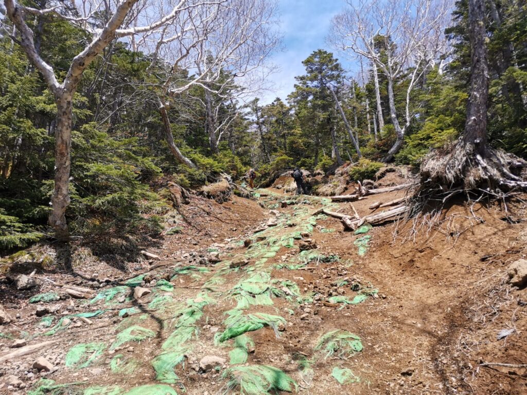 登山道