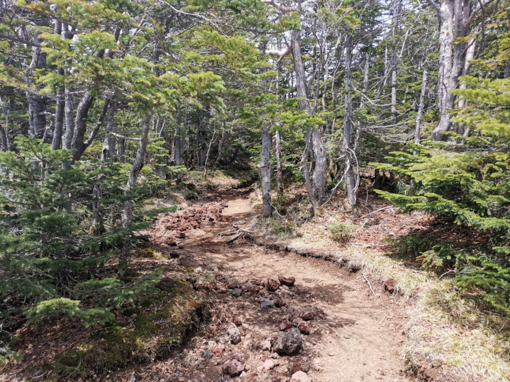登山道