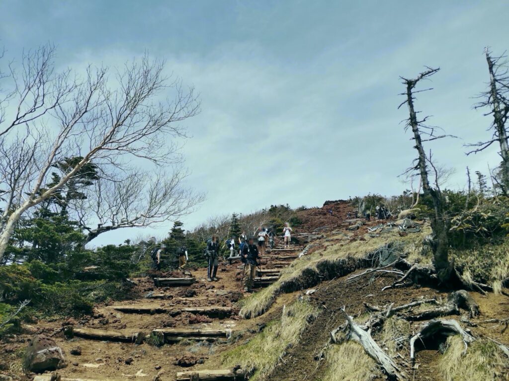 登山道