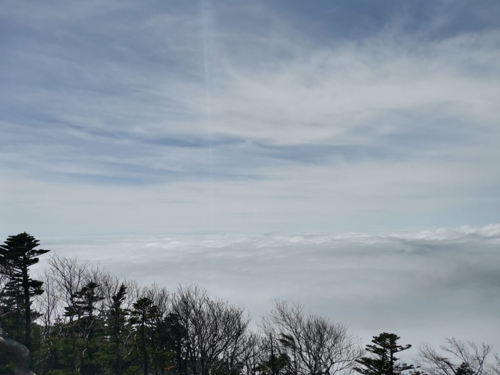 雲海