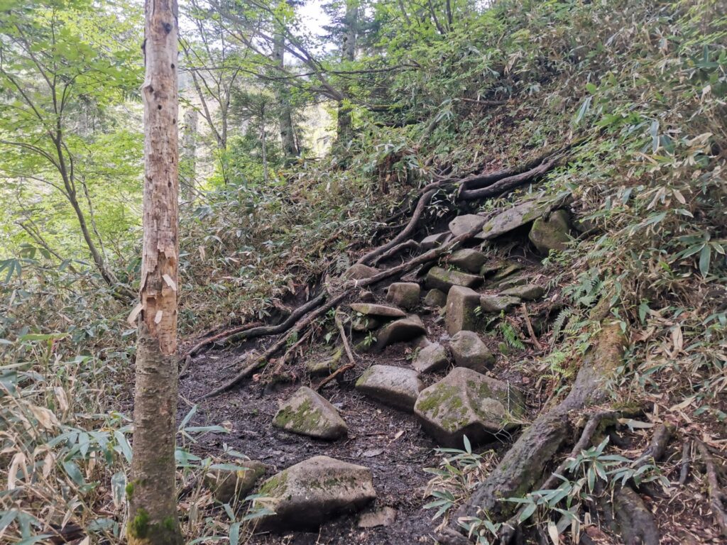 登山道 岩
