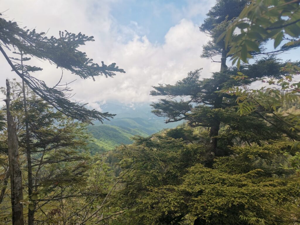 山