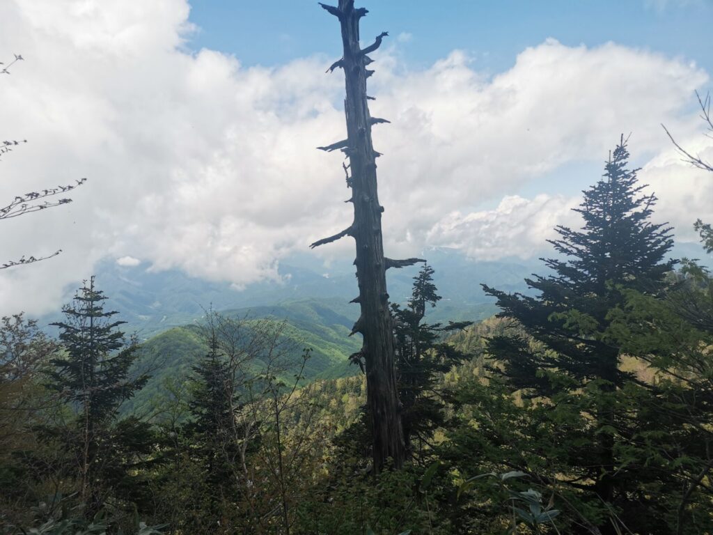 山