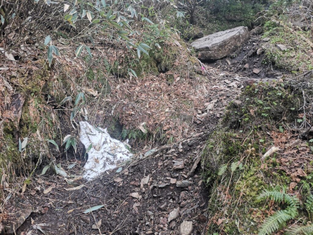 登山道 雪
