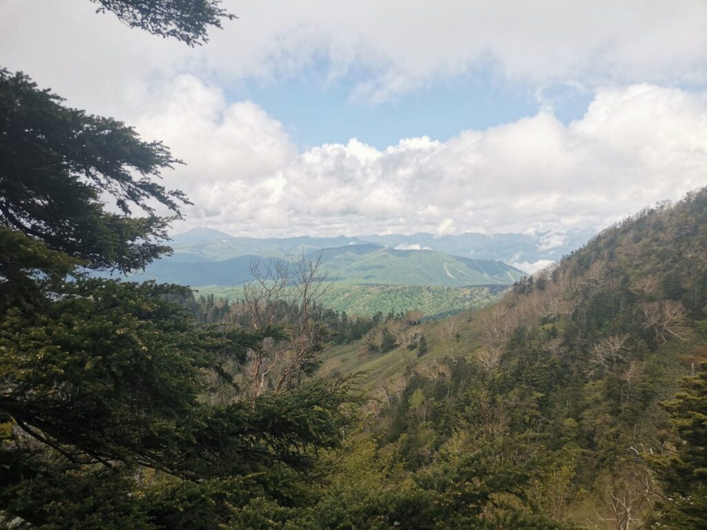 山 風景