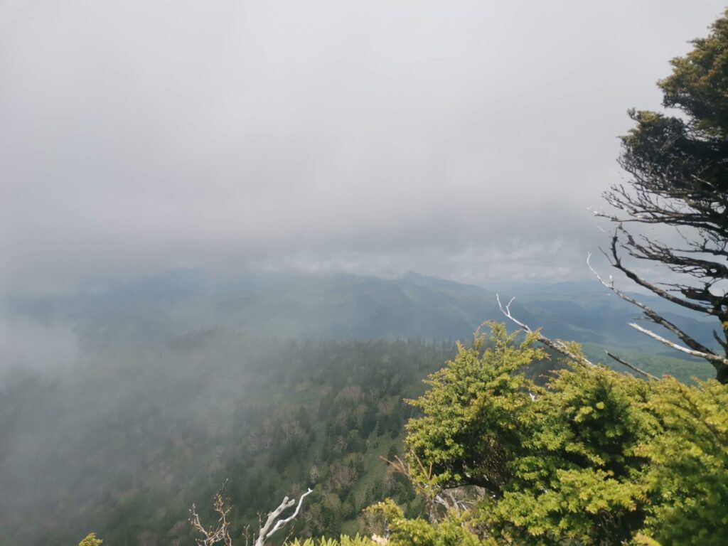 雲
