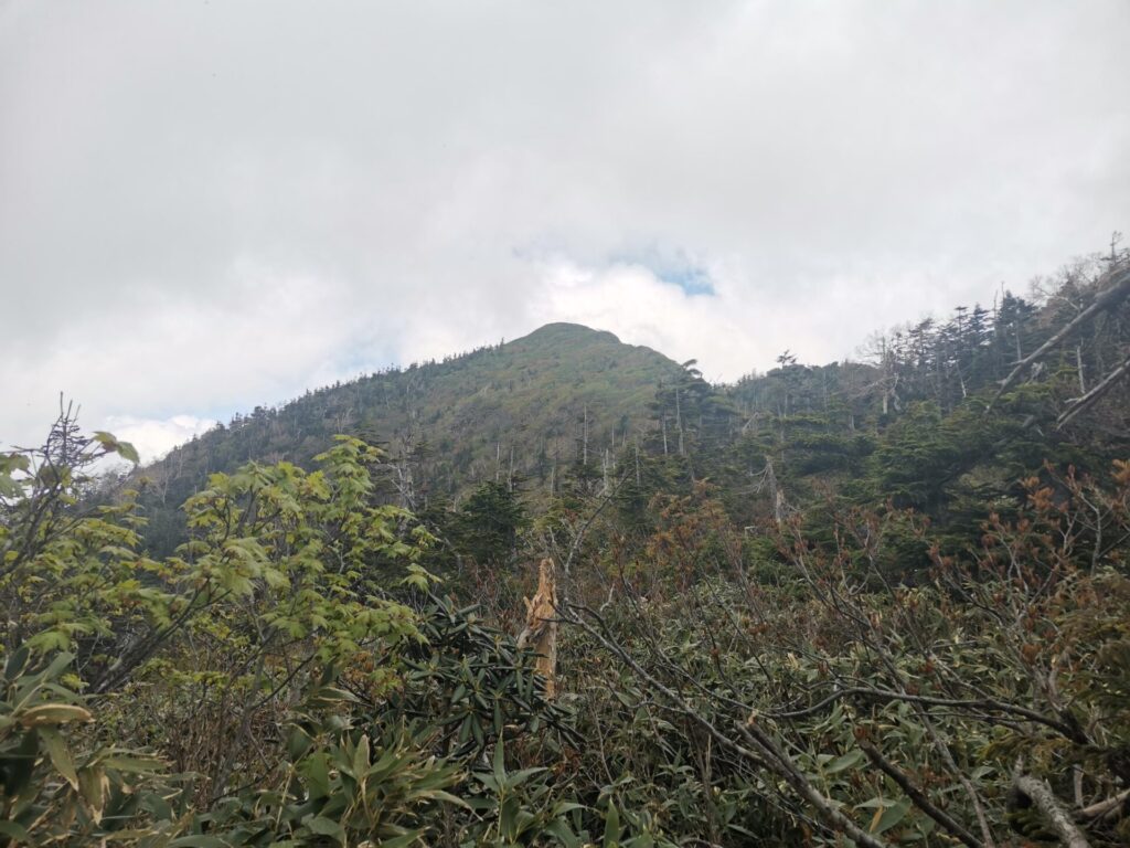 武尊山 山頂