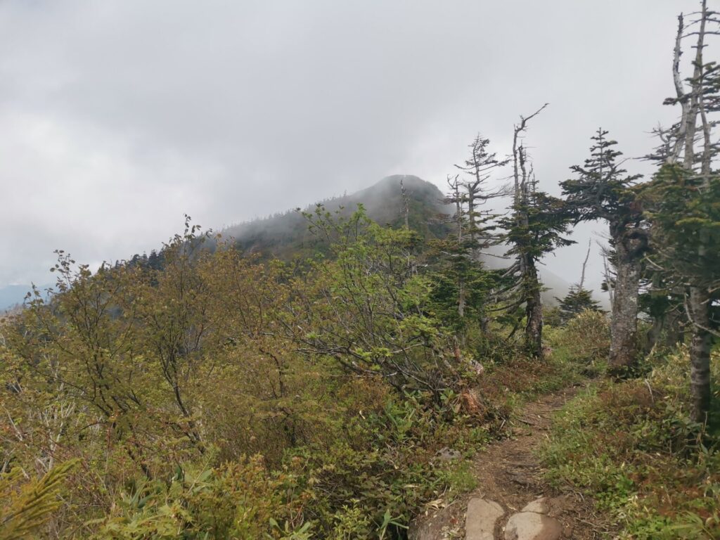登山道