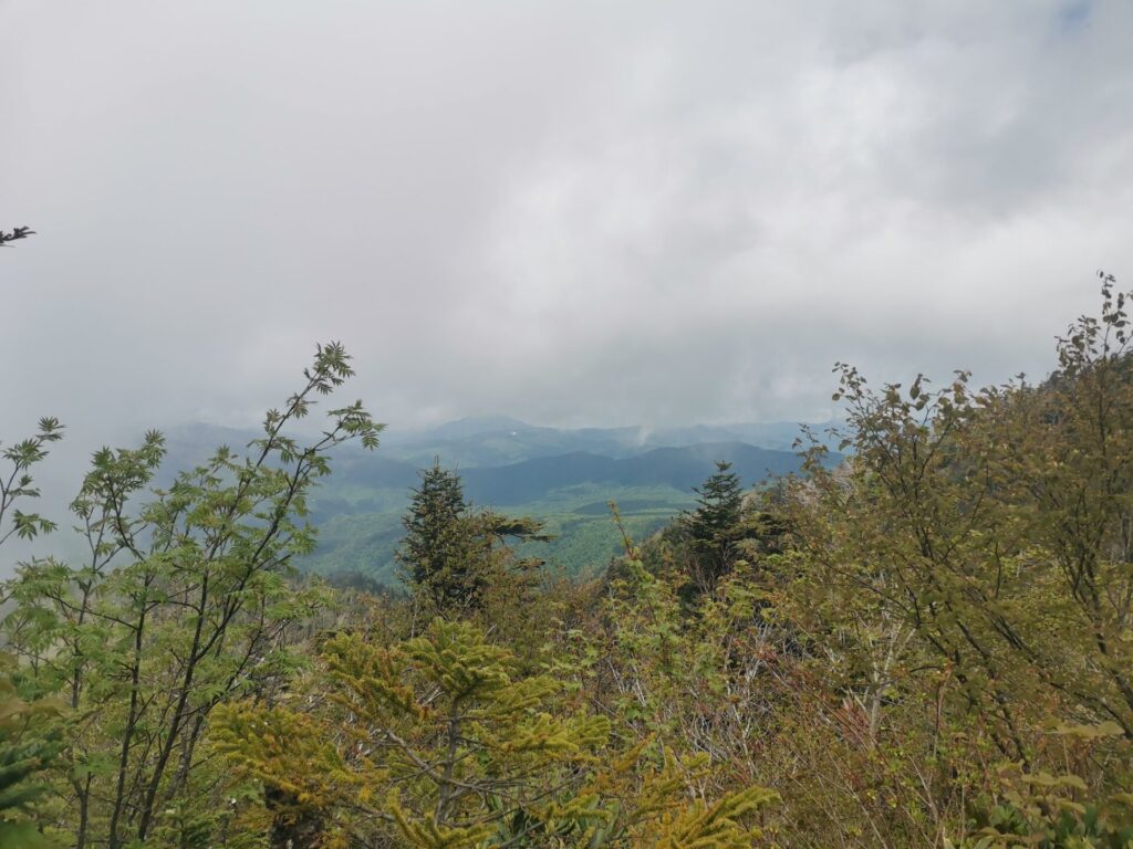 山