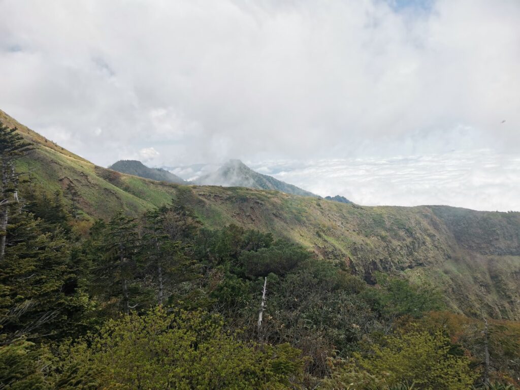 山