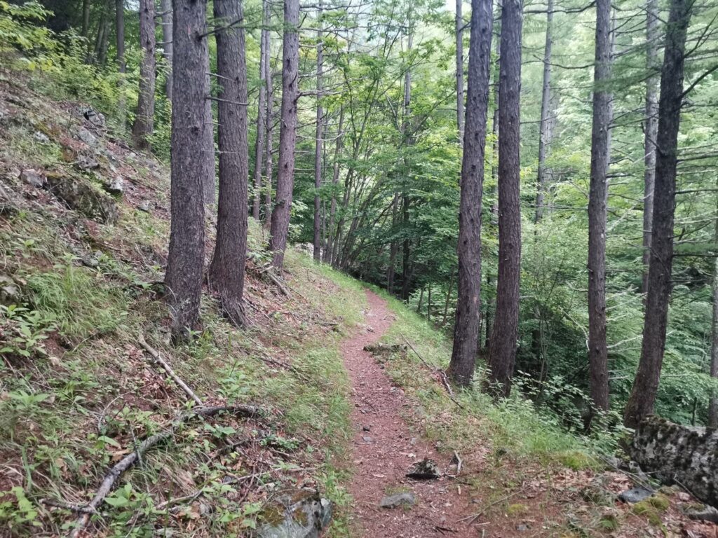 登山道