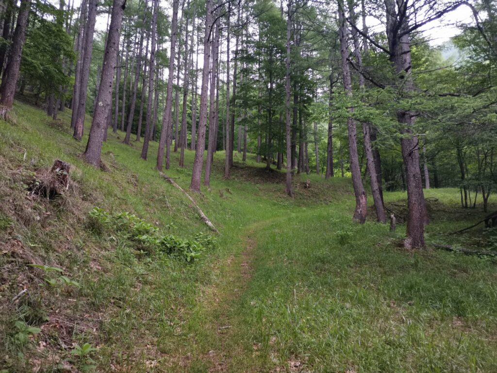登山道
