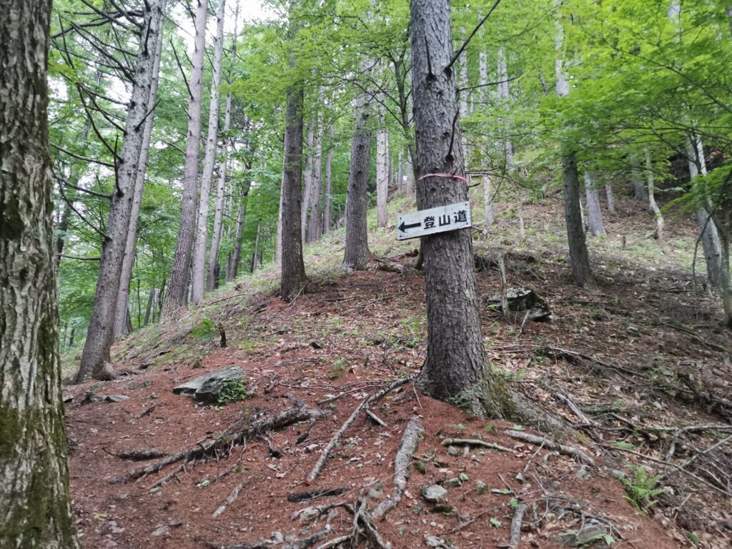 登山道