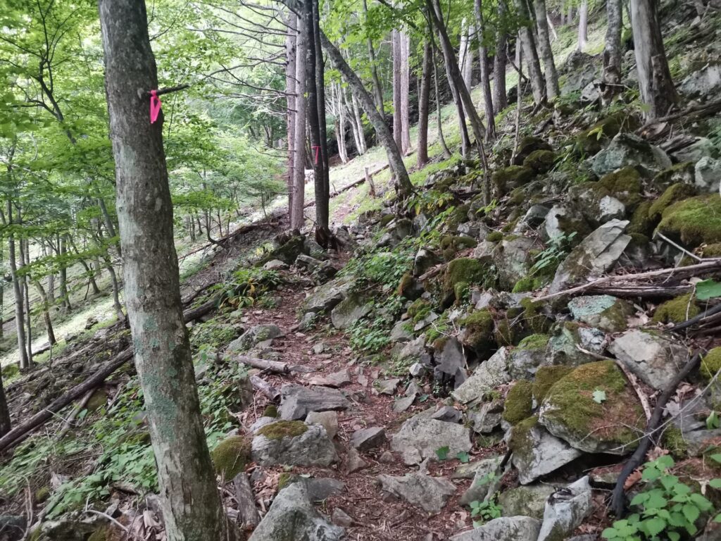 登山道 岩