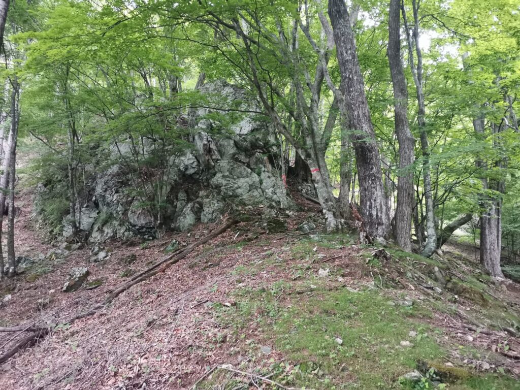 岩