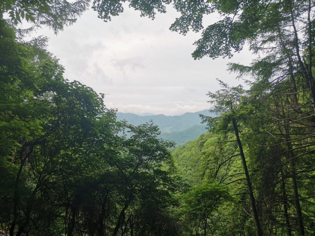 山