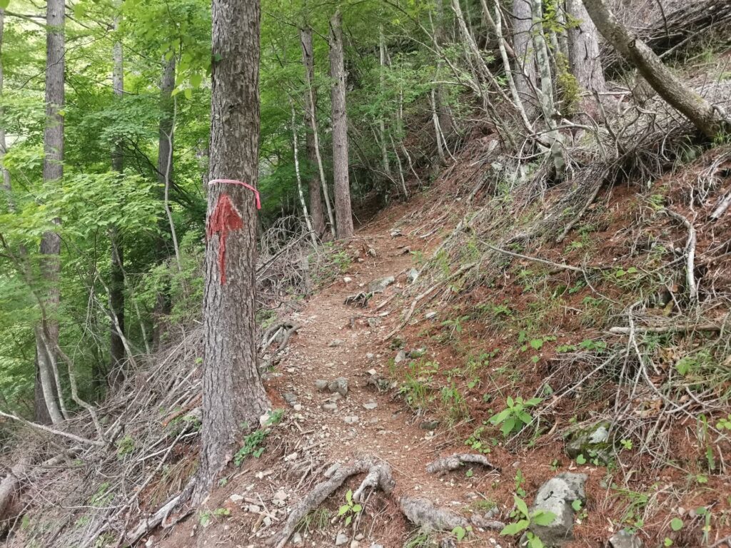 登山道