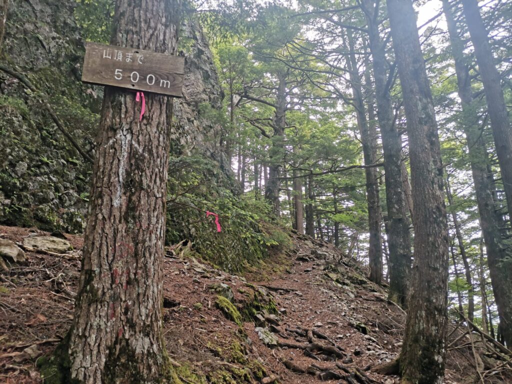 登山道