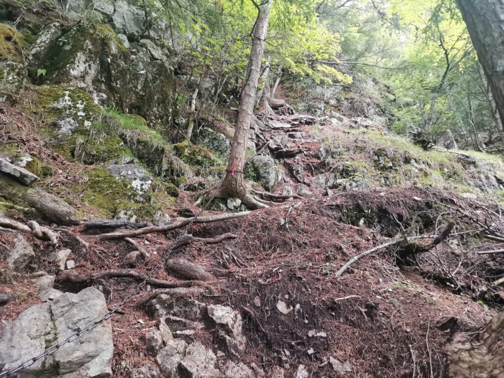 登山道 鎖