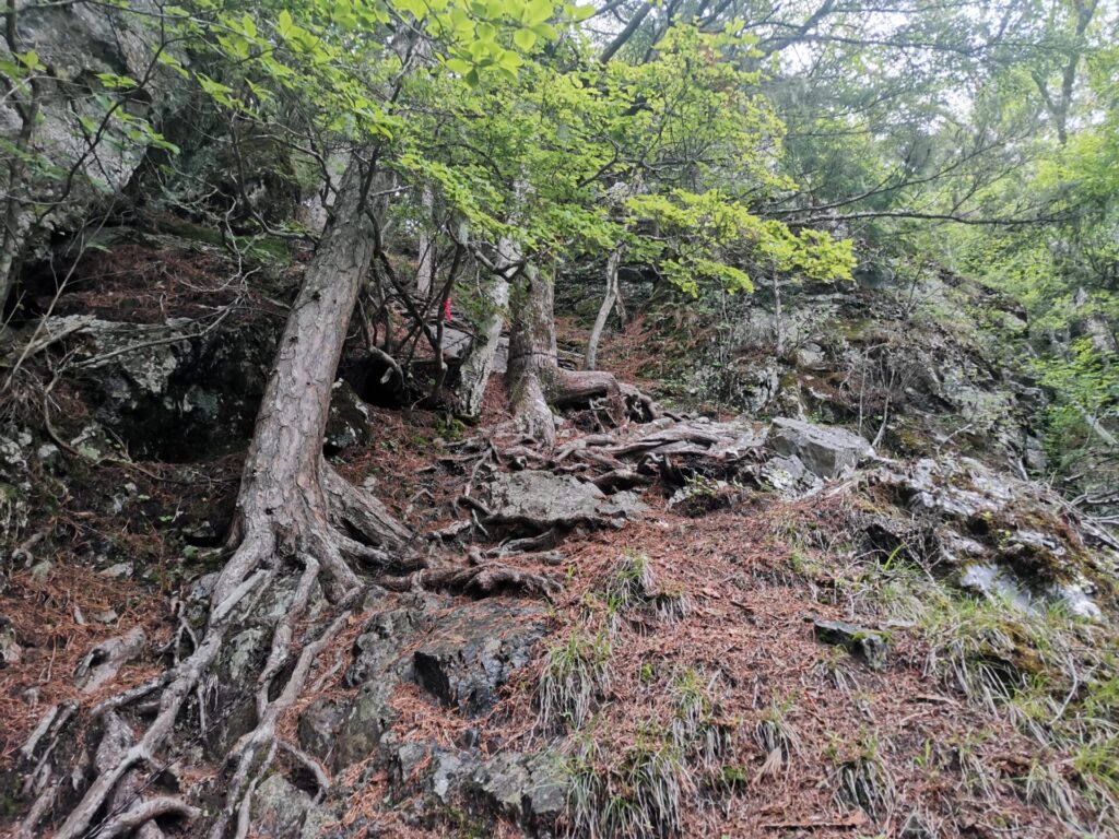 登山道 鎖