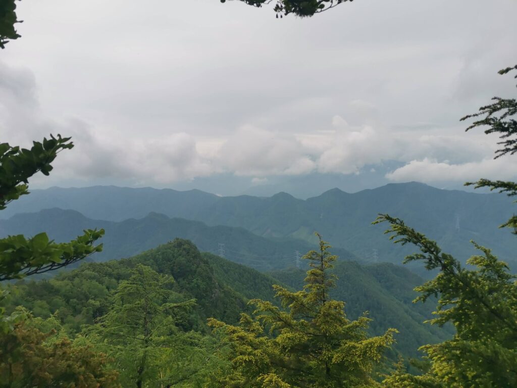 山