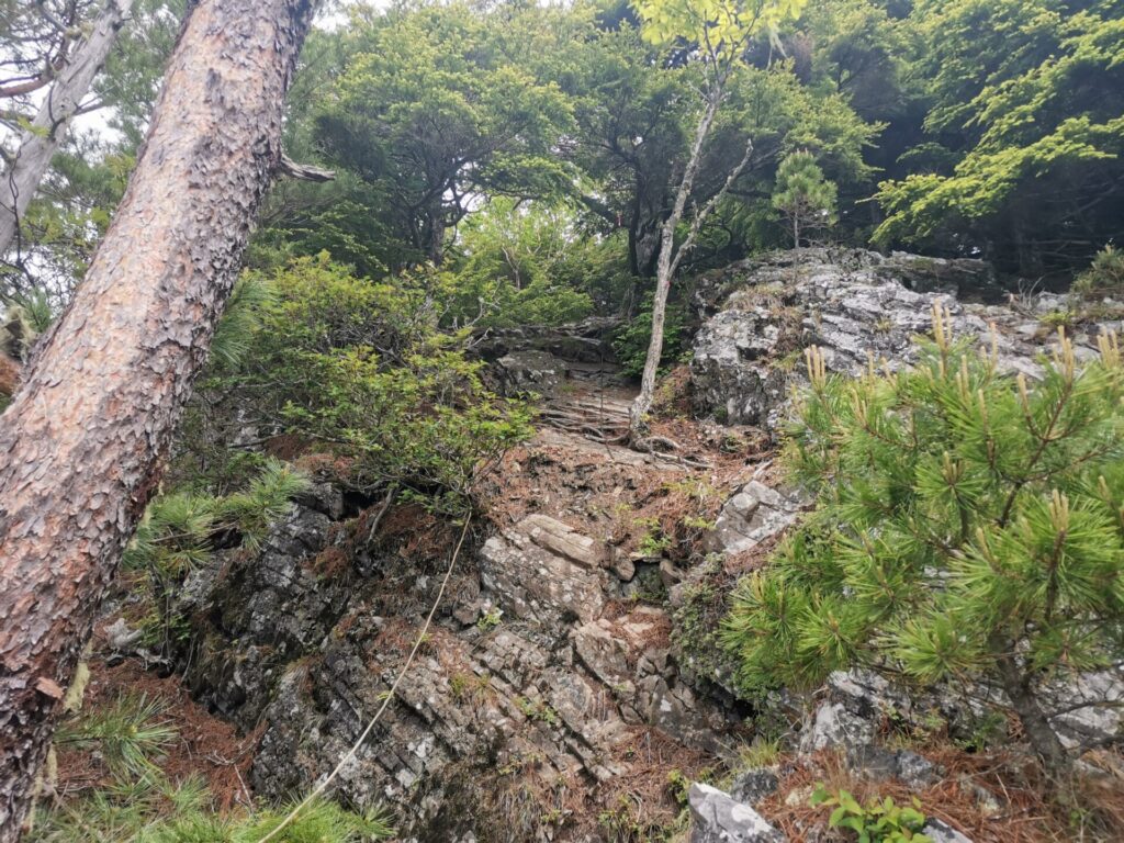 登山道