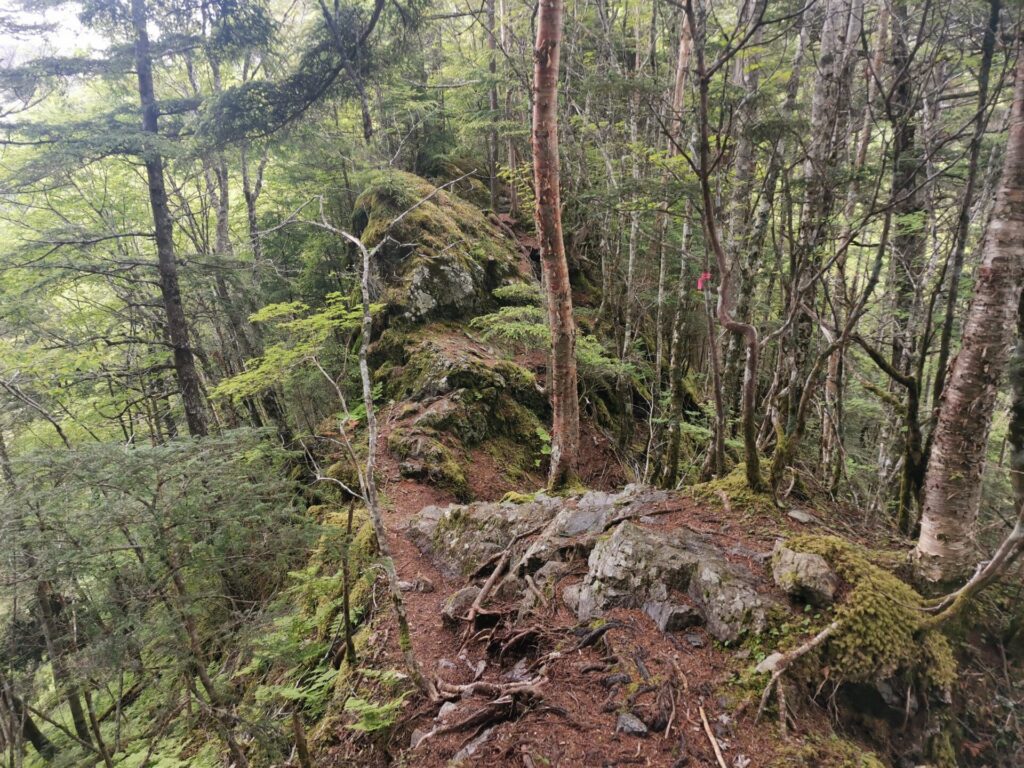 登山道