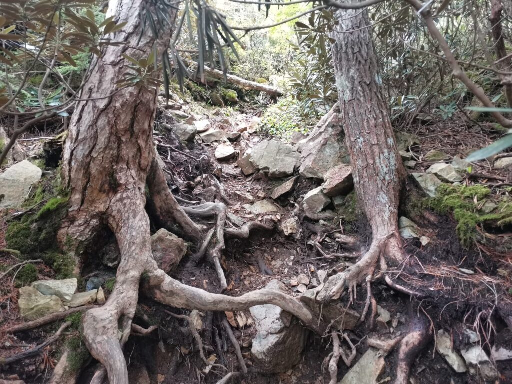 登山道