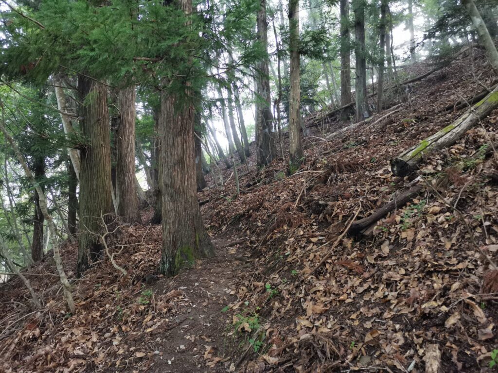 登山道