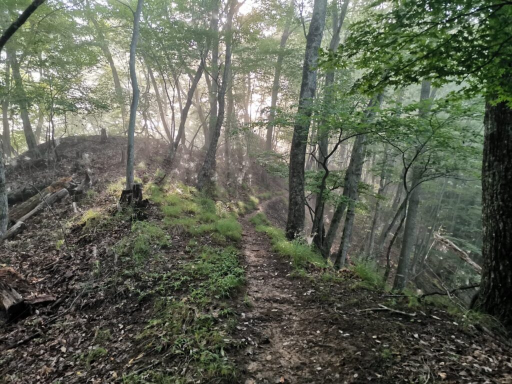 登山道