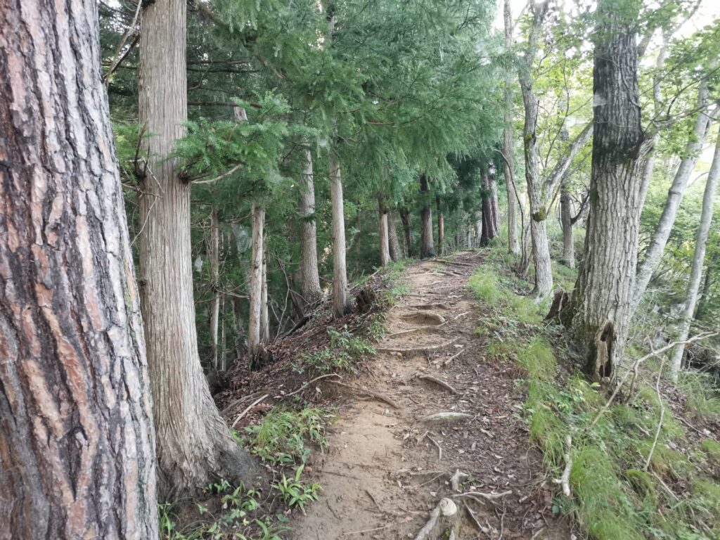 登山道