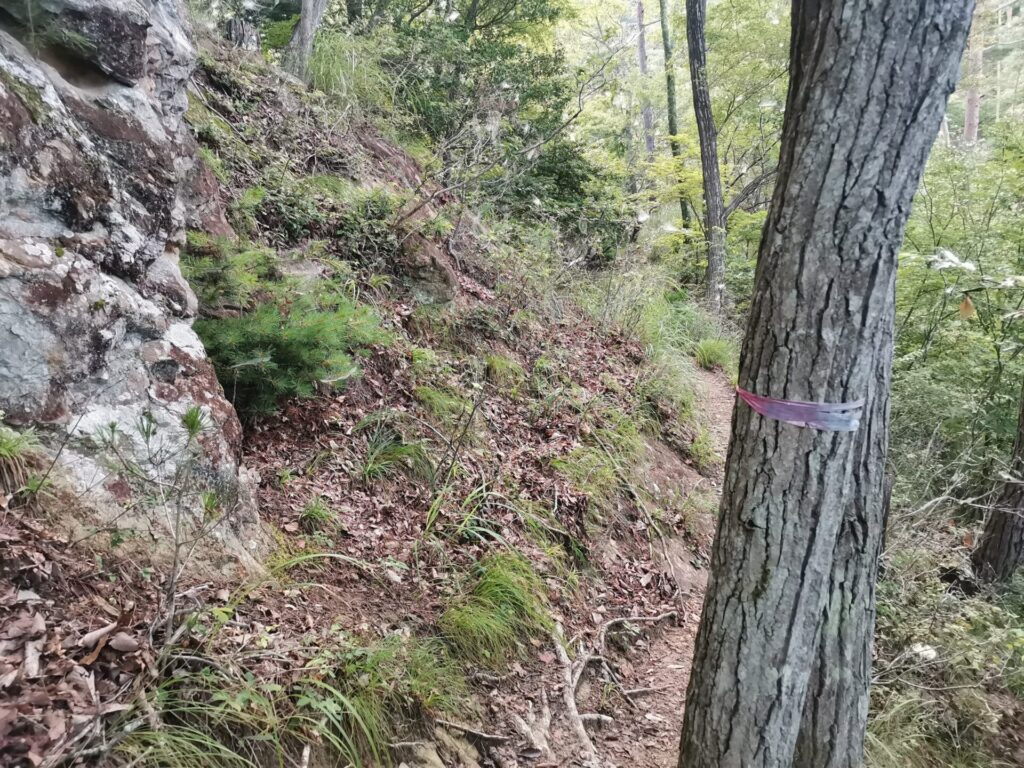 登山道 ピンクリボン