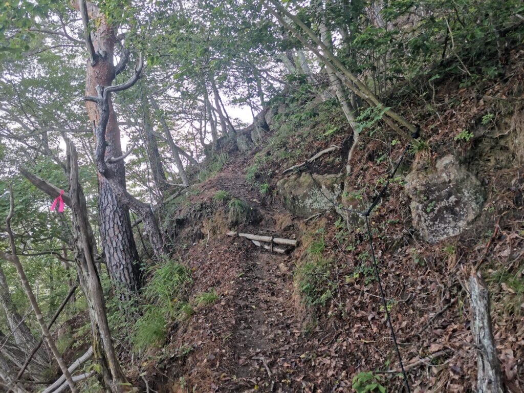 登山道