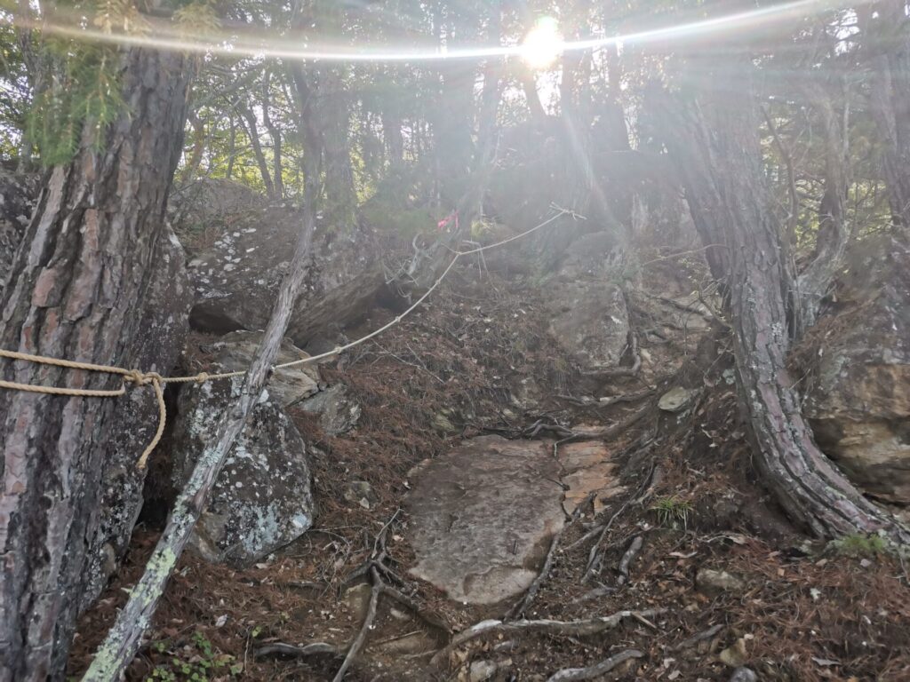登山道 ロープ