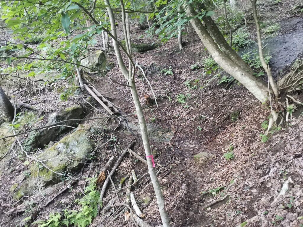 登山道