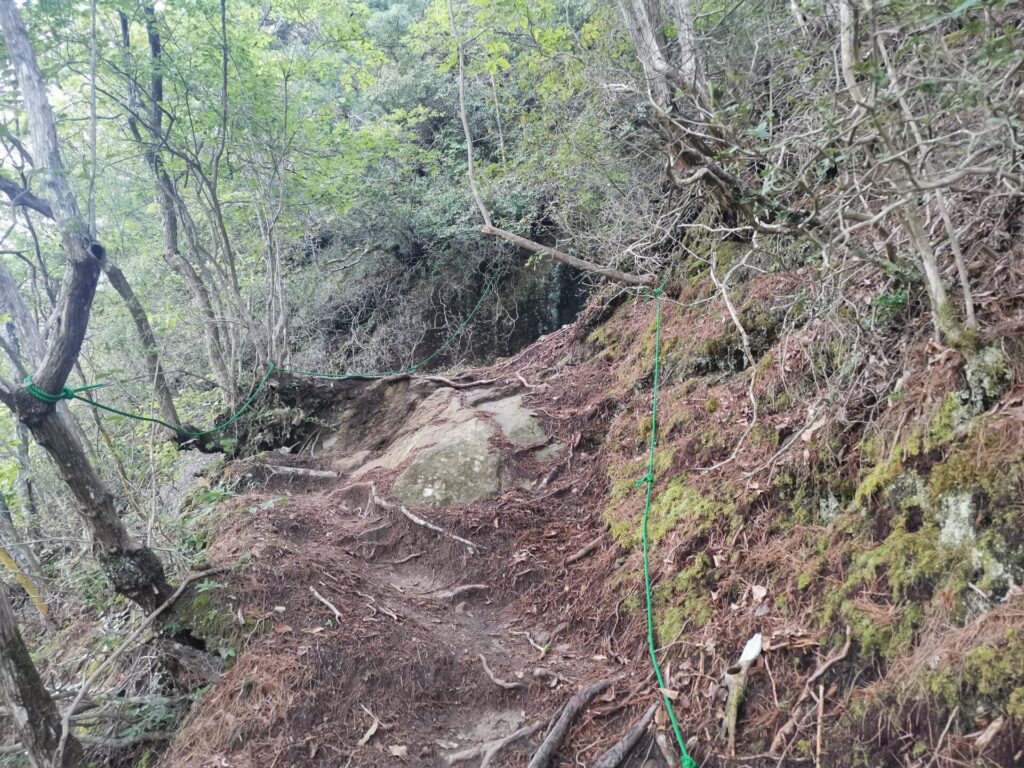 登山道 ロープ