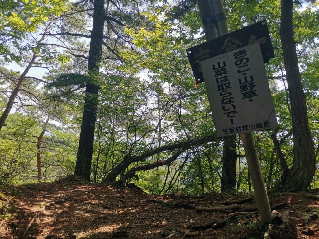 分岐