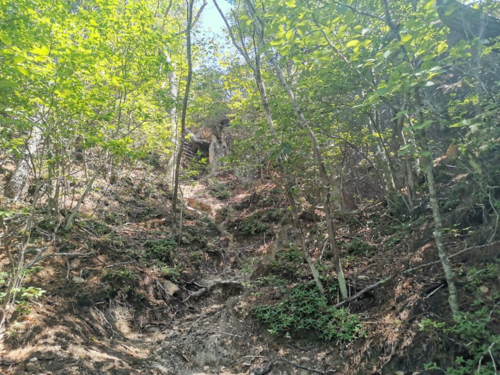 登山道