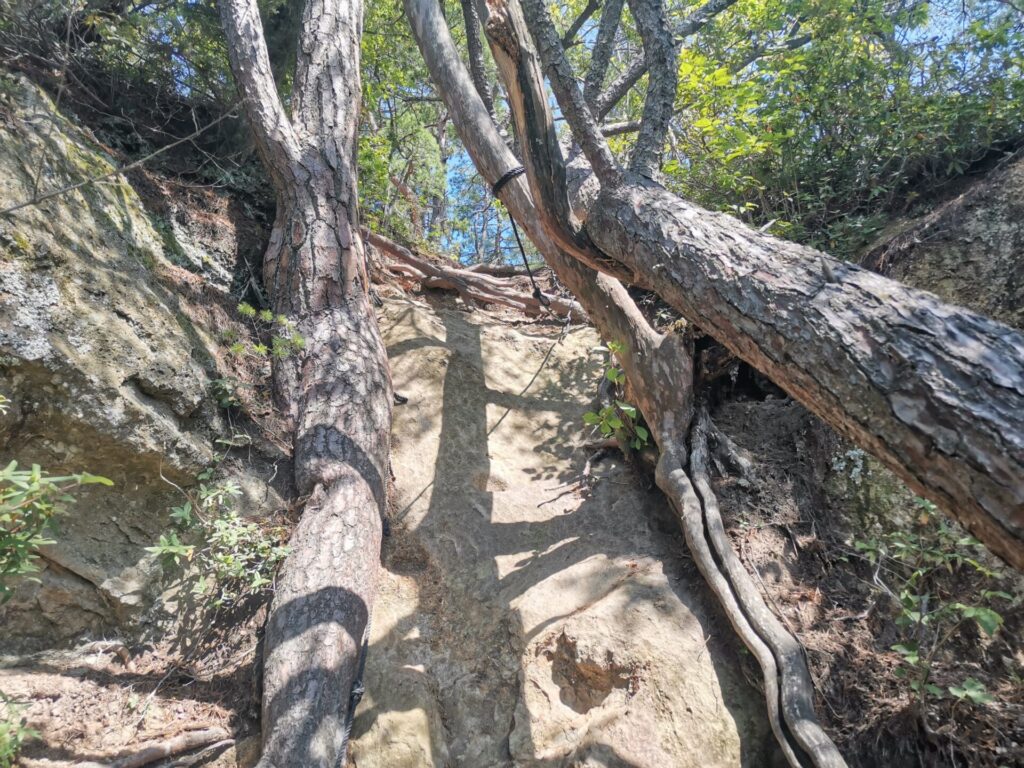 登山道