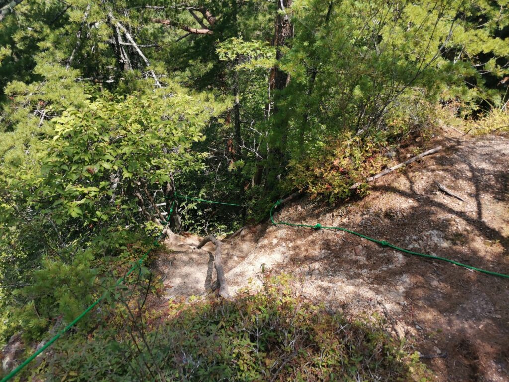 登山道