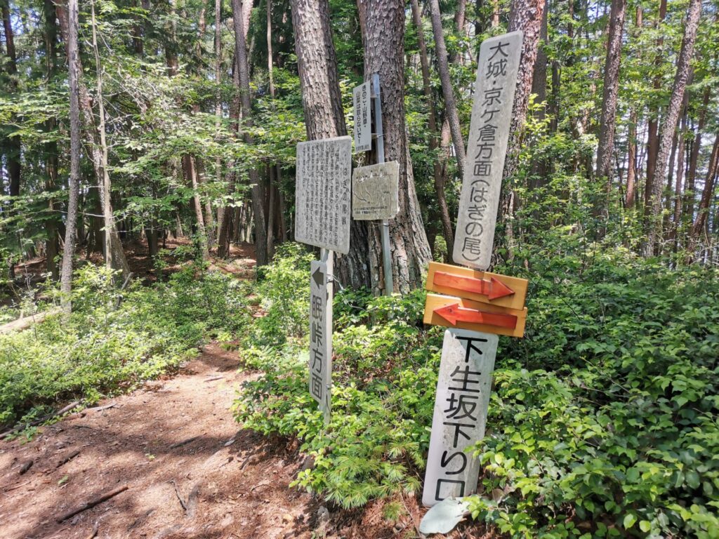 はぎの尾峠 分岐点