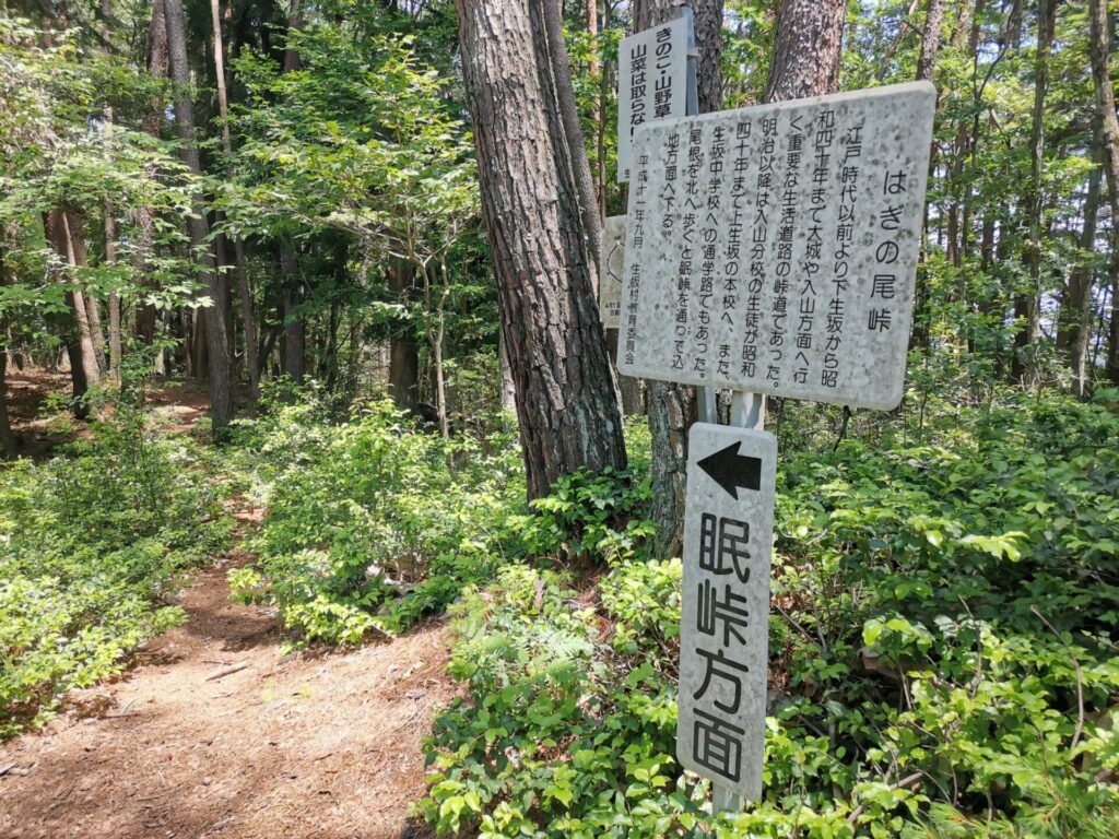 はぎの尾峠 分岐点