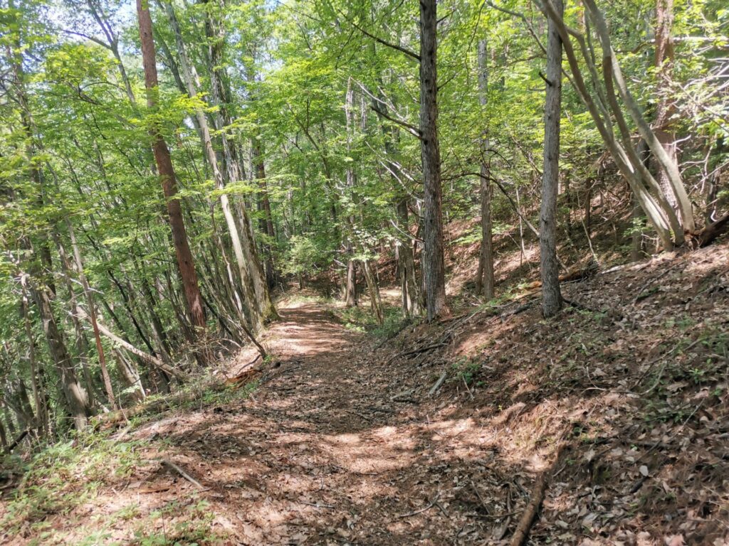 登山道