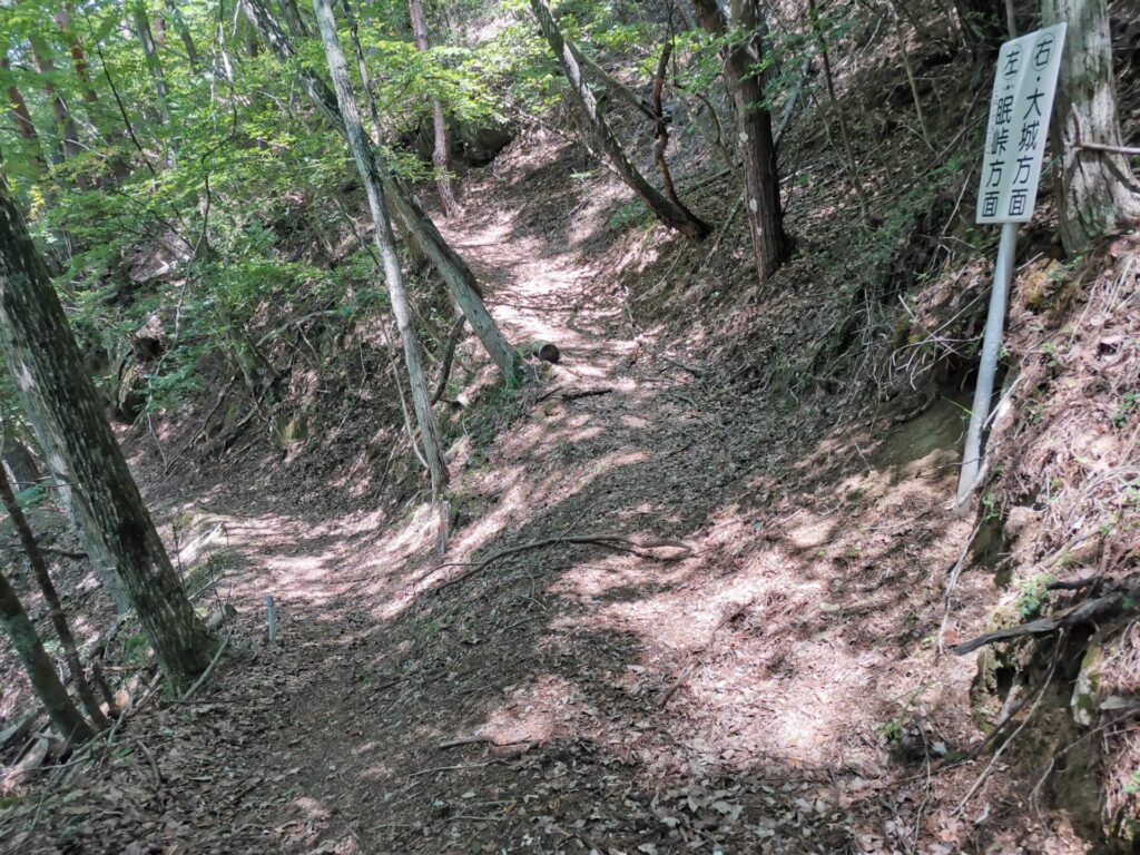 大城 眠峠 分岐
