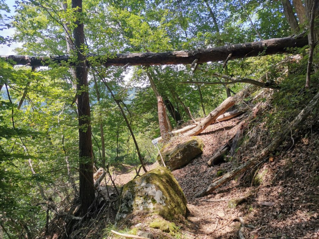 登山道