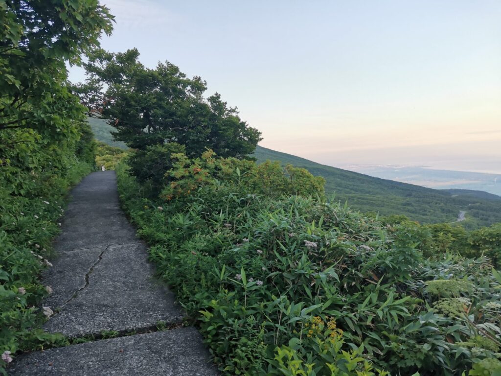 登山道