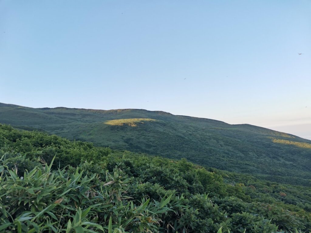 山